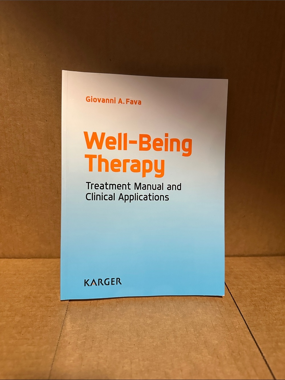 Karger Well-Being Therapy Notebook - Blue & White